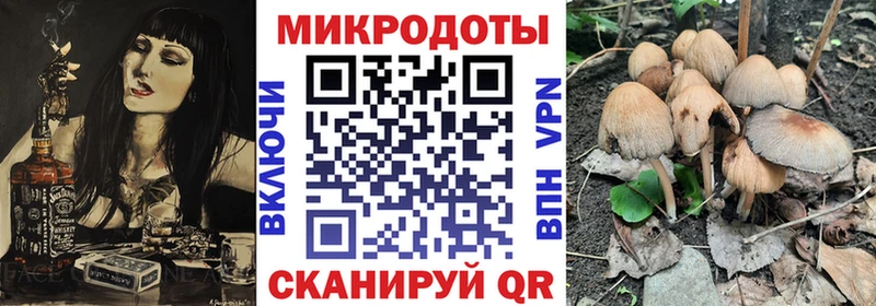 Купить  Ликино-Дулёво  Псилоцибиновые грибы Magic Shrooms 