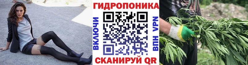 Бошки марихуана VHQ  Купить  Ликино-Дулёво 